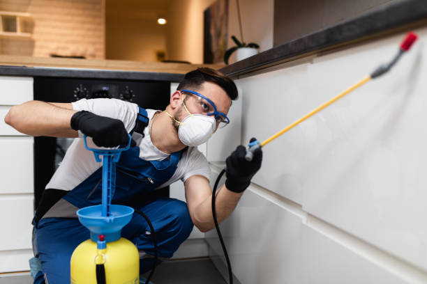 Best Affordable Pest Control Services  in Browntown, PA