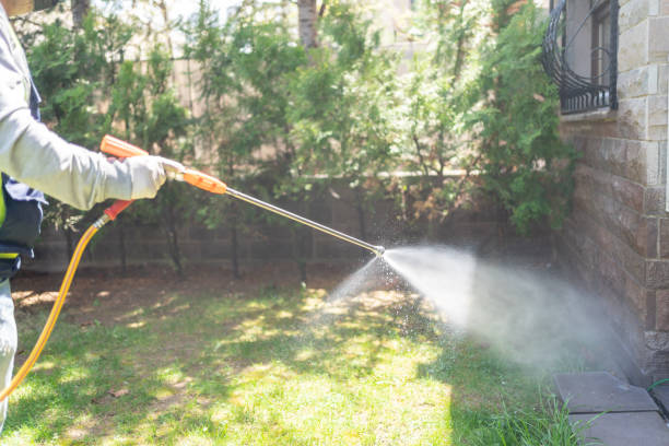 Best Pest Control for Homes  in Browntown, PA