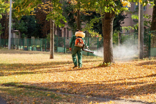 Best Affordable Pest Control Services  in Browntown, PA