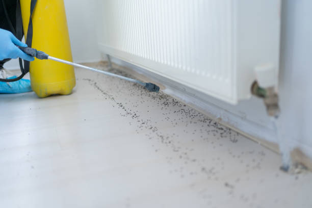 Best Best Pest Control Companies  in Browntown, PA